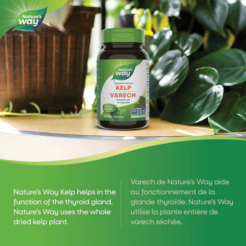 Nature's Way - Kelp