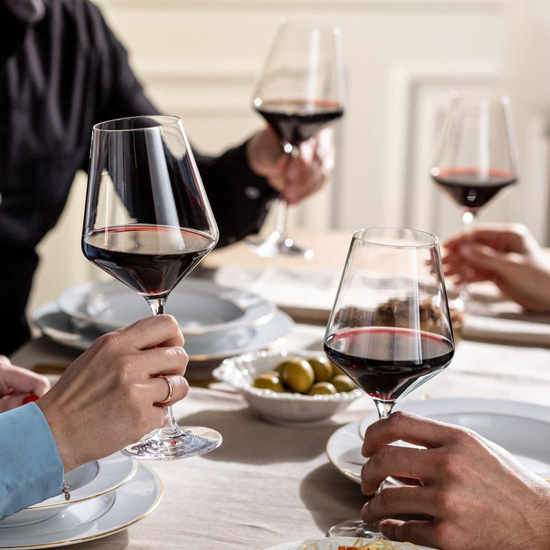 KROSNO - AVANTE - GARDE Red Wine Glass Set Home & Kitchen