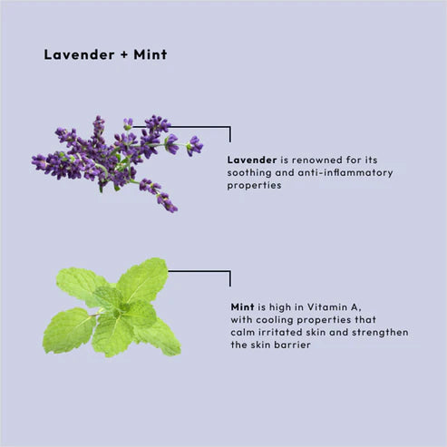 BCL Spa - Massage Cream Lavender + Mint | 16 oz