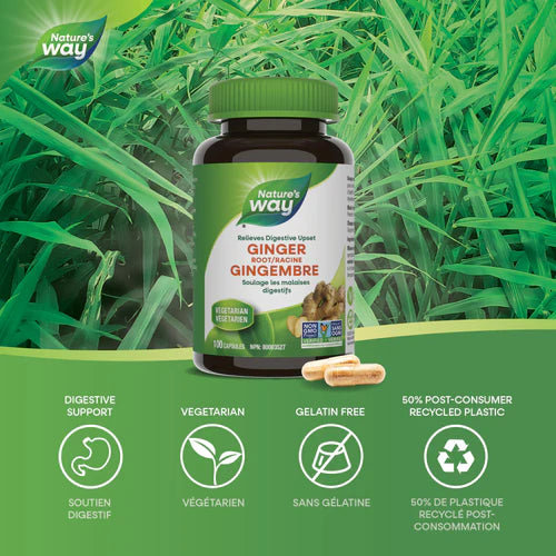 Nature's Way - Ginger Root