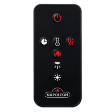Napoleon - Trivista™ Pictura 50 | THREE - SIDED WALL HANGING ELECTRIC FIREPLACE NEFL50H - 3SV Home & Kitchen