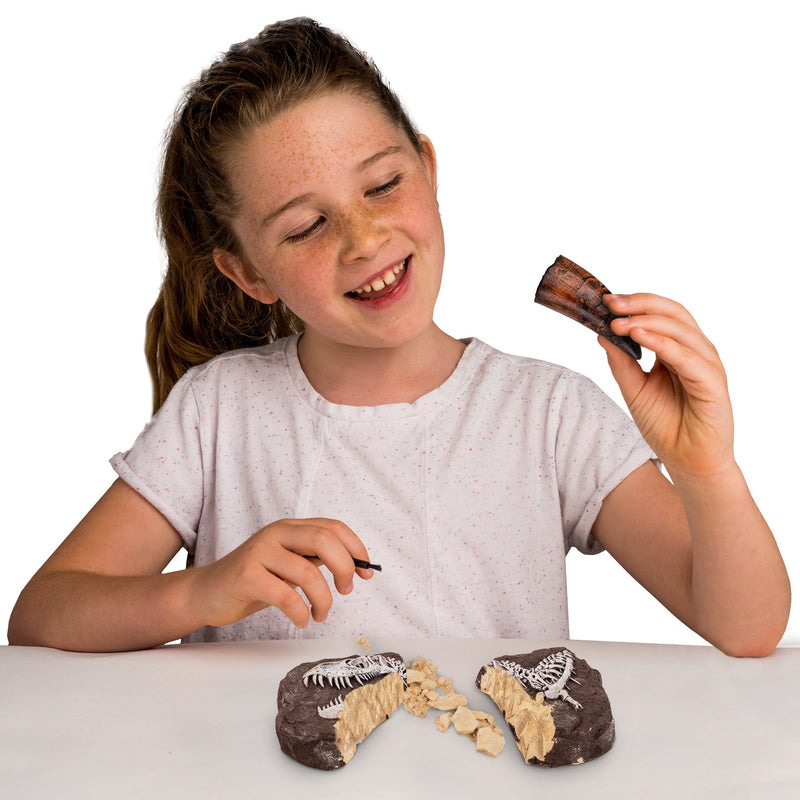 National Geographic - Dinosaur Fossil Dig Kit — dinosaur excavation activity.
