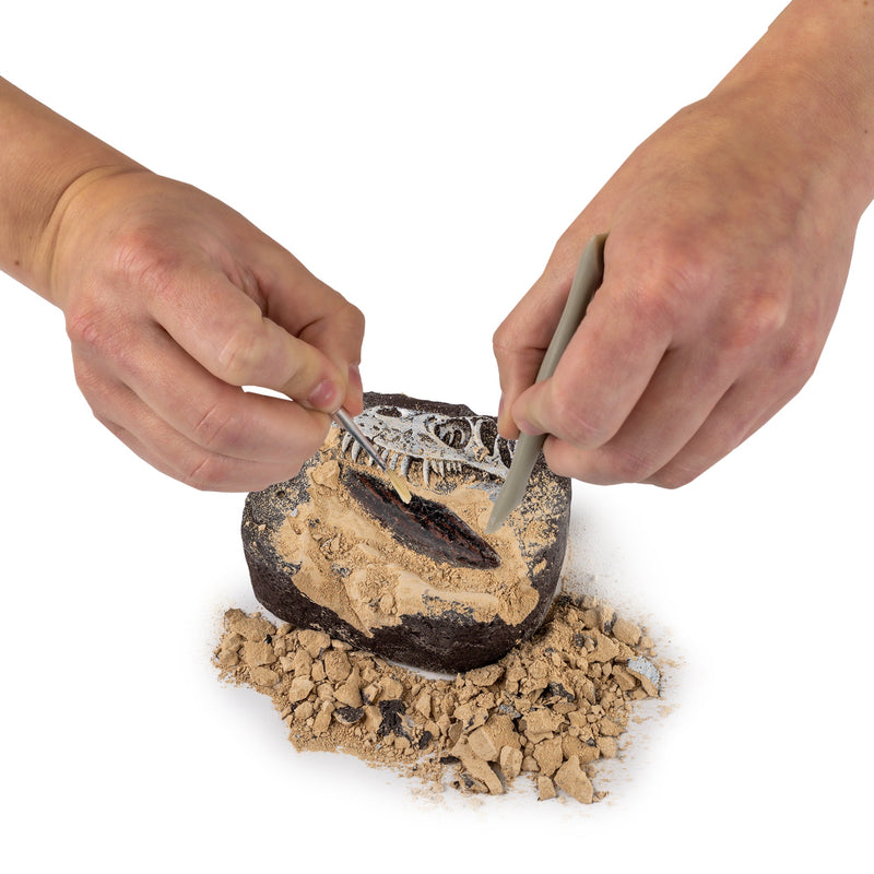 National Geographic - Dinosaur Fossil Dig Kit — fossil excavation activity.