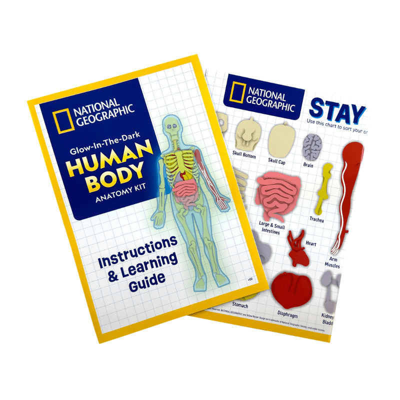 National Geographic - Glow - in - the - Dark Human Body Toys & Games