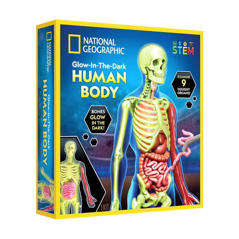 National Geographic - Glow - in - the - Dark Human Body Toys & Games