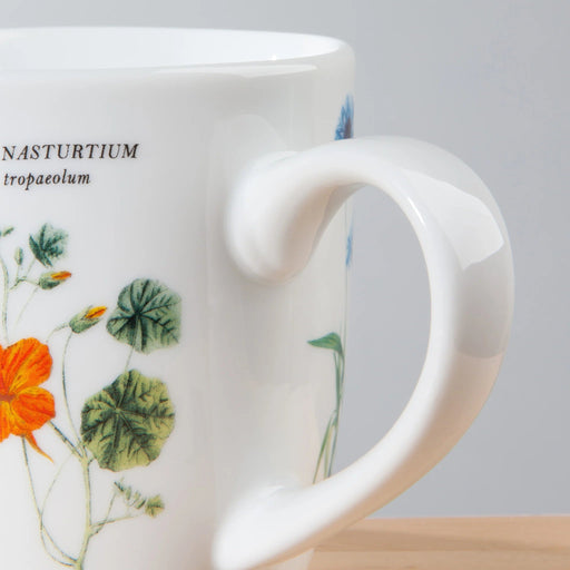 Now Designs - Mug Edible Flowers Home & Kitchen
