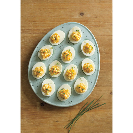 Now Designs - Tray Deviled Egg Robin Blue Home & Kitchen