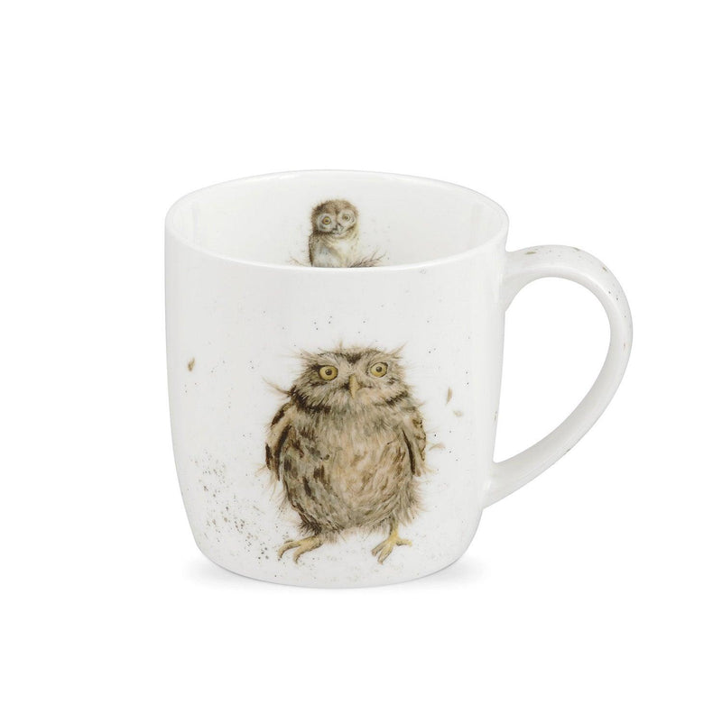 Royal Worcester - Wrendale DESIGNS 14 oz Ceramic Mug Home & Kitchen What A Hoot