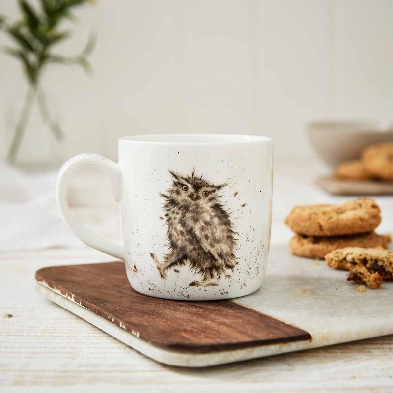 Royal Worcester - Wrendale DESIGNS 14 oz Ceramic Mug Home & Kitchen What A Hoot