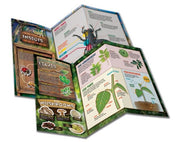 Smartlab - Smart Lab Outdoor Science Lab Toys & Games