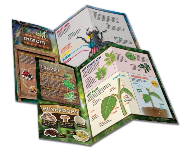 Smartlab - Smart Lab Outdoor Science Lab Toys & Games