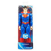 Spin Master - 12" DC Figure Full Assortment Toys & Games