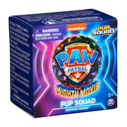 Spin Master - Paw Patrol Pup Squad Figure CDU (Single Random Pick) 36pk Toys & Games