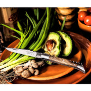 STYLE DE VIE - AUTHENTIC - LAGUIOLE Luxury Line - Pocket Knife with Corksrew, 3.4", Olive wood Hardware