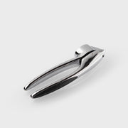 Taylor's Eye Witness - Garlic Press Chrome Home & Kitchen