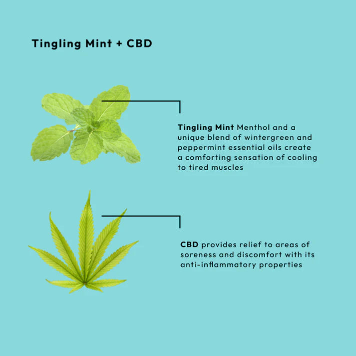 BCL Spa - 4-STEP System Tingling Mint + CBD 0. | 5 x 4 in oz