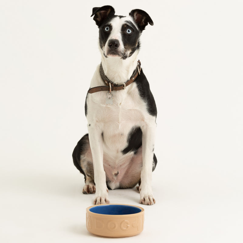 Mason Cash - PET Lettered Dog Bowl Cane & Blue