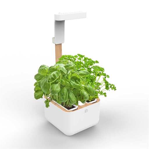 VERITABLE - BOTANEO - Eylo - White (Compatible with VERITABLE Lingot) Home & Kitchen