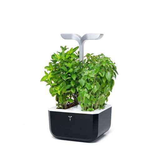 VERITABLE - VERITABLE Exky SMART Soft Black Indoor Garden Home & Kitchen