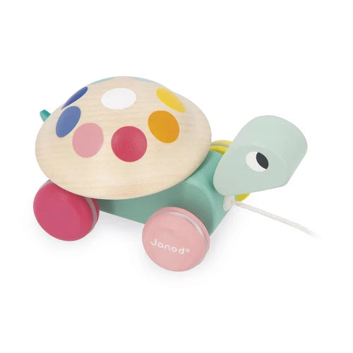 Janod - Zigolos - Pull-Along Turtle